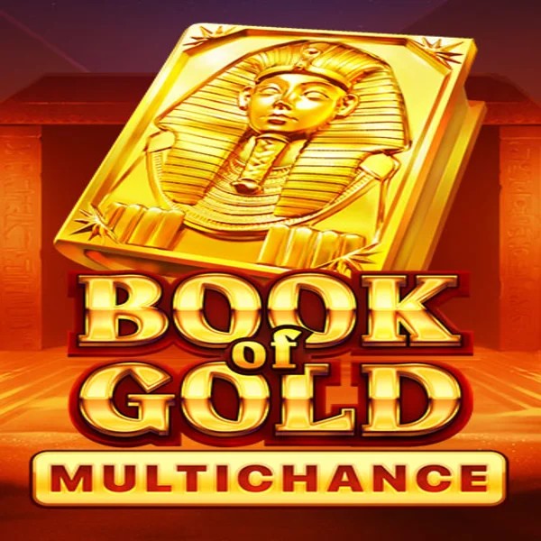 Book of Gold Multichance logo by Playson at Spinit Casino