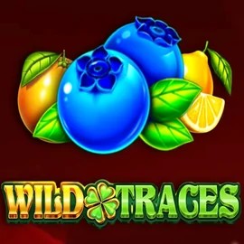 Wild Traces slot icon by Amusnet Interactive, available at Spinit Casino